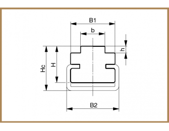 TYP CT Nylon Profil Kettenführung alt=